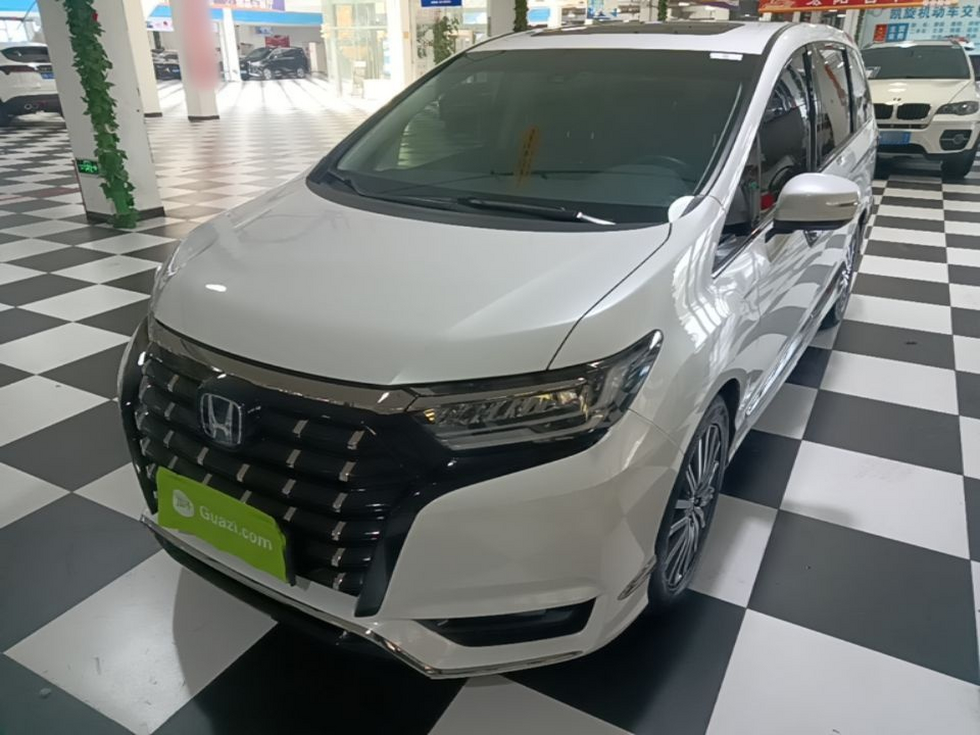 Under Front Bumper