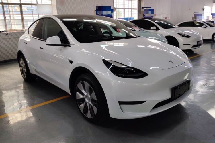 Used Tesla Model Y 2021 Standard Range Rear-Wheel Drive Version
