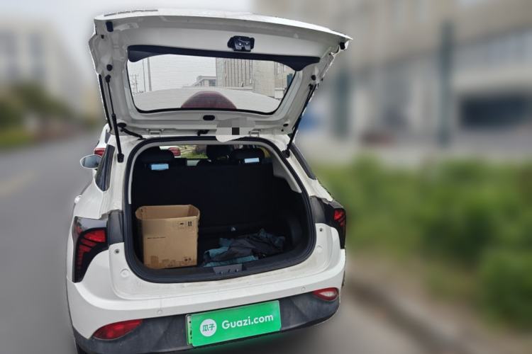 Used NETA V 2021 Long-Range Entertainment Edition