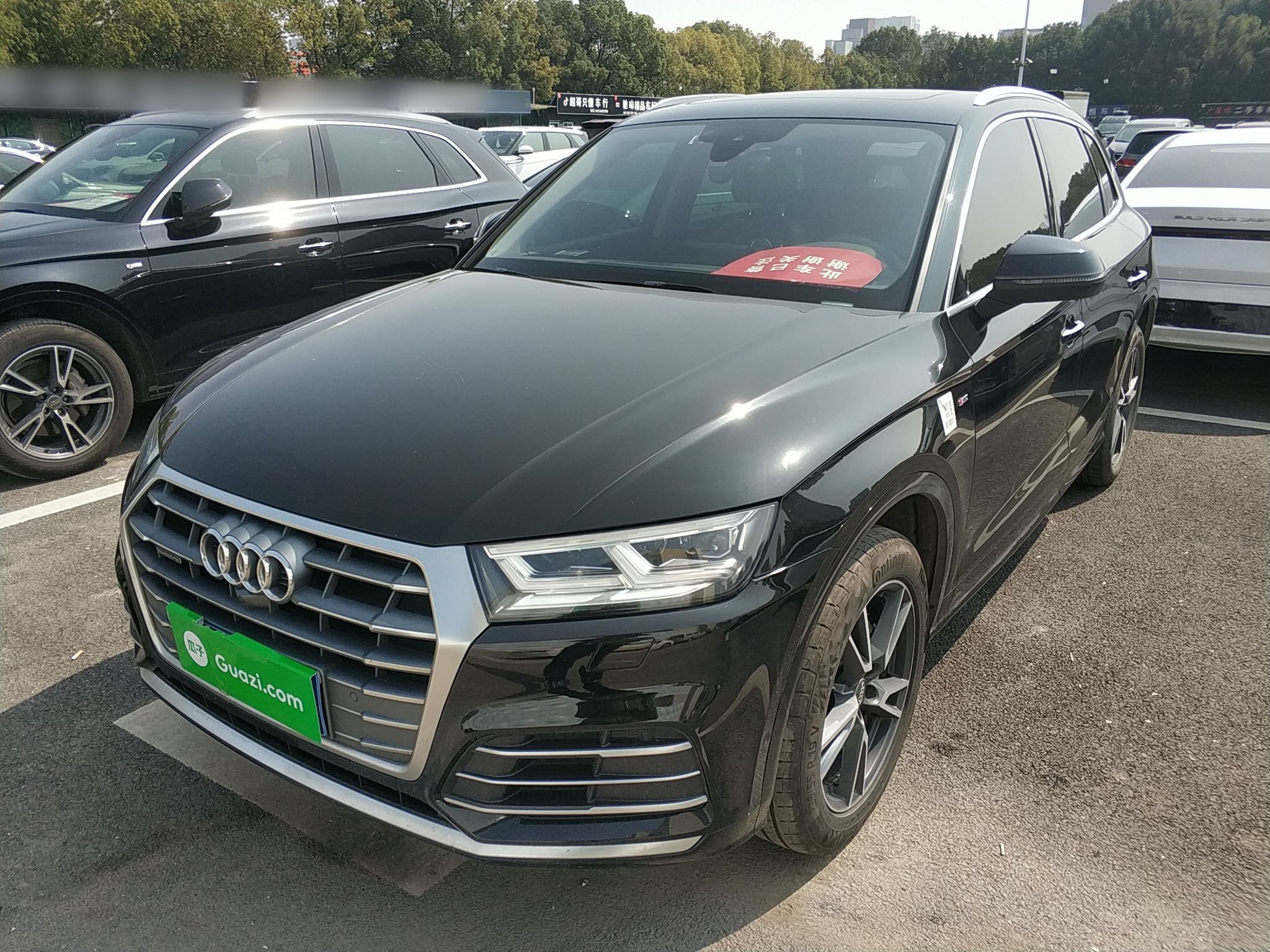 Parte inferior delantera