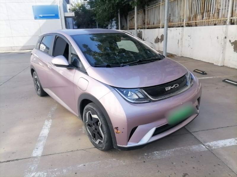 Used BYD Dolphin 2021 405 km Fashion Edition — 3