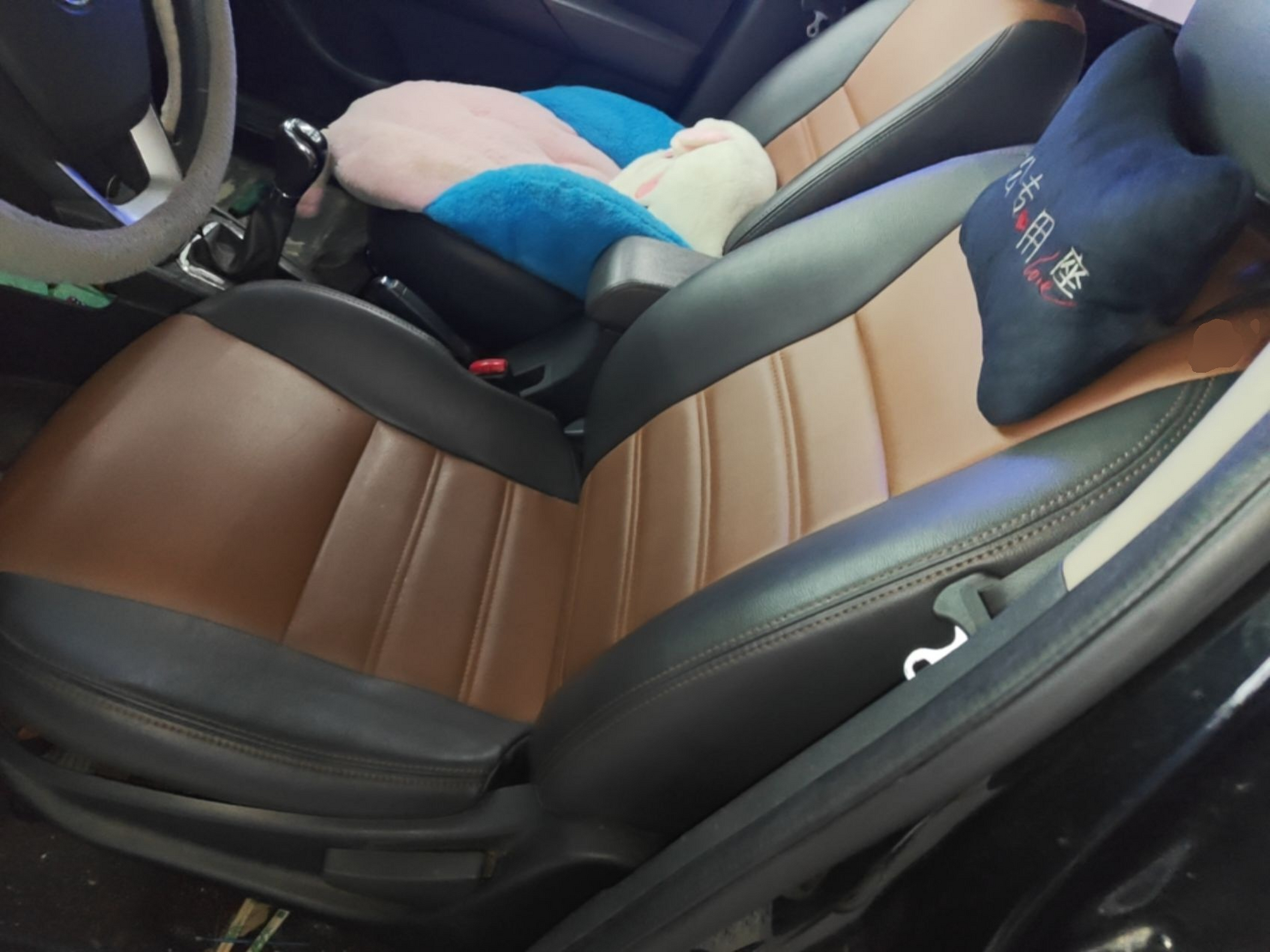 Interior delantero