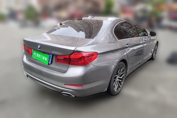 Used BMW 5 Series 2020 530Li Luxury Edition Premium Package