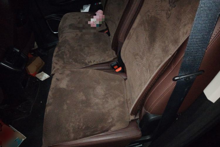 Used Geely Auto Haoyue 2022 1.8TD DCT Luxury 7-Seater Left Rear Seat