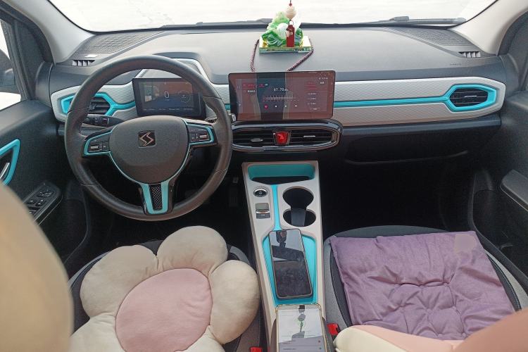 Used SOL E10X 2021 302 km Range Fashion Edition 31.4 kWh