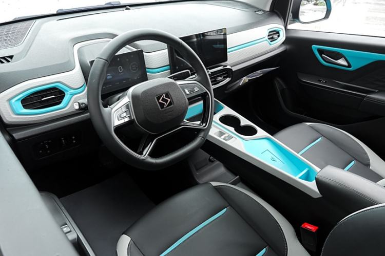 Used SOL E10X 2022 Flower Fairy Style Baby's Breath