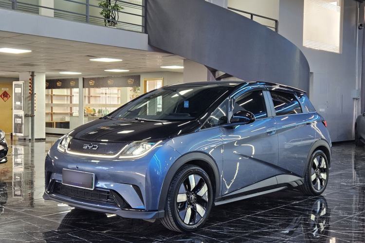 Used BYD Dolphin 2025 520km Range Knight Edition