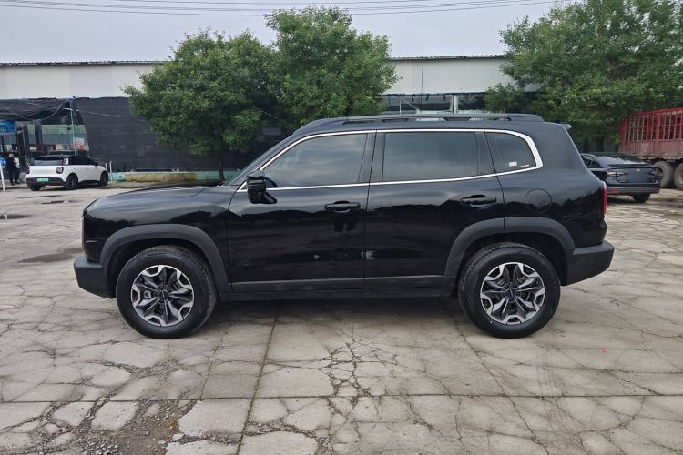 Used Haval DARGO 2024 2.0T DCT Chinese Rural Dog Edition