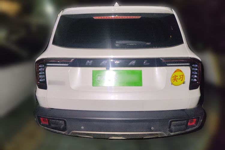 Used Haval DARGO 2022 1.5T DCT Two-Wheel Drive Border Collie Edition