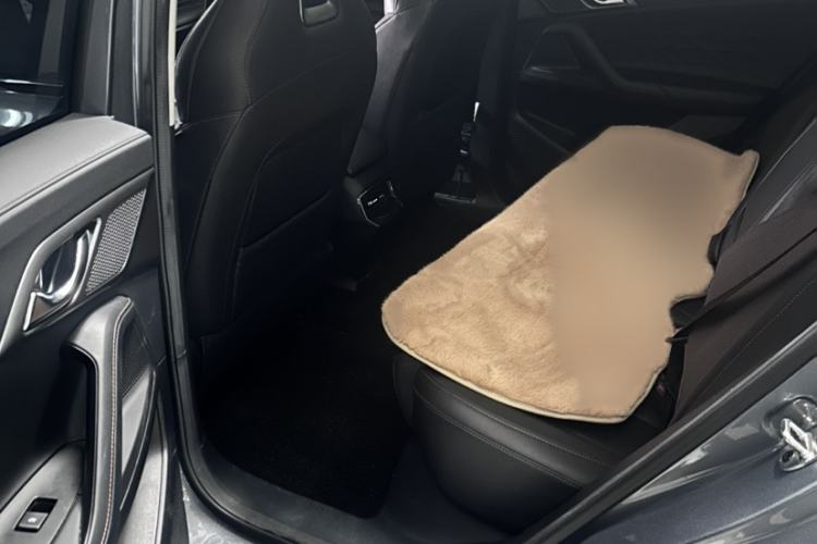 Used Roewe RX5 2023 1.5T Elite Edition
