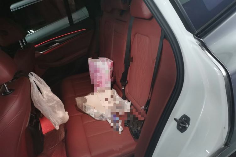 Used BMW X3 2022 Restyled xDrive30i Luxury Edition M Night Sky Package
