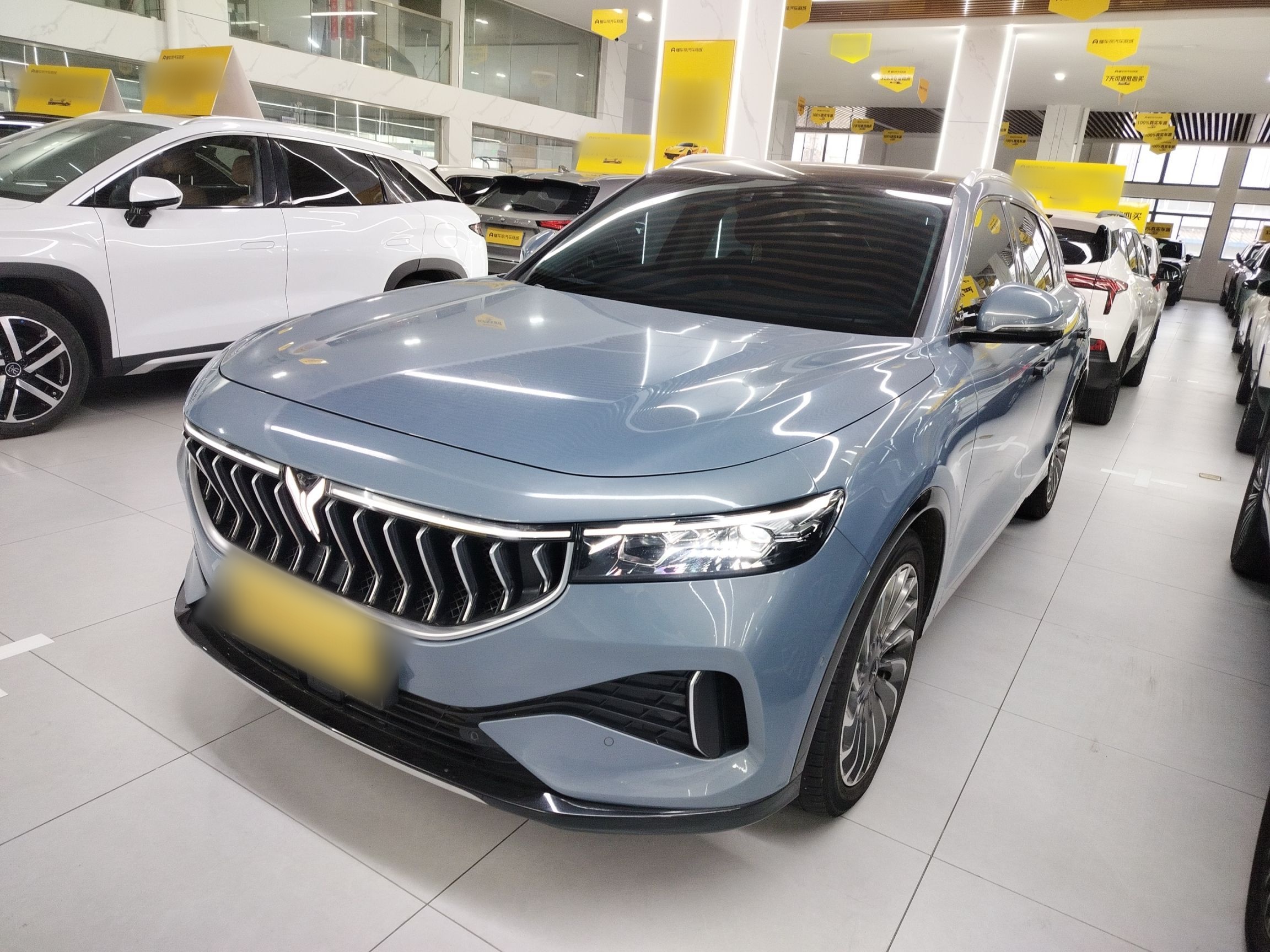 Parte inferior delantera