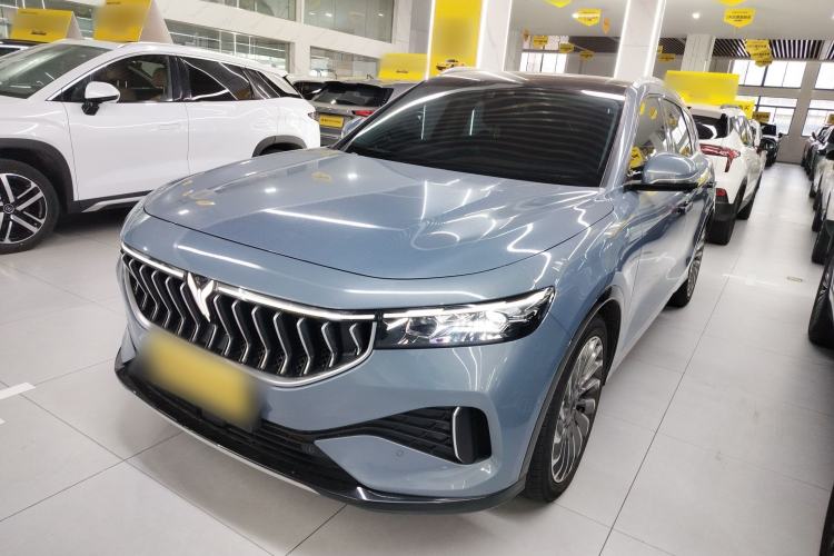 Used VOYAH FREE 2021 Four-Wheel Drive Standard Range-Extended Exclusive Luxury Package