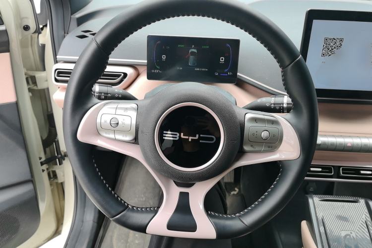 Used BYD Seagull 2023 Flying Edition Steering Wheel