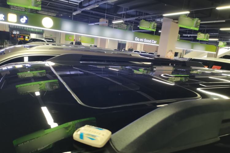 Used Tank 300 2024 2.0T Conqueror
