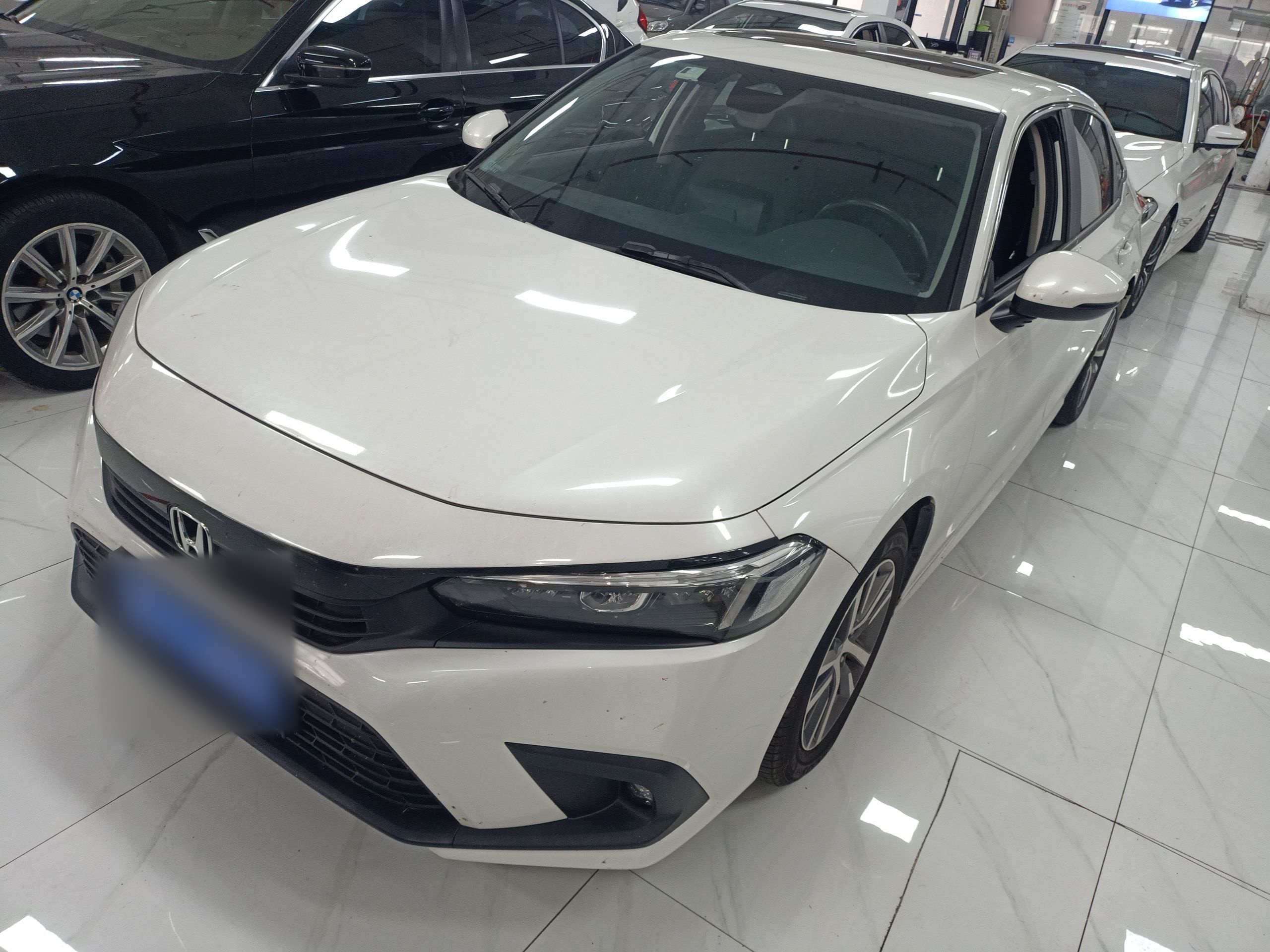 Parte inferior delantera