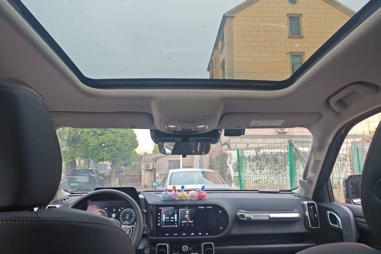 Used Haval DARGO 2024 2.0T DCT Chinese Rural Dog Edition
