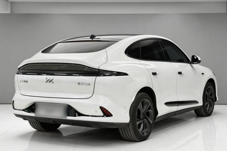 Used IM LS6 2023 Max Standard Edition
