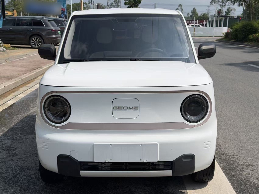 Geely Galaxy Panda 2023 Panda Mini 200km Endurance Bear — снимка 16