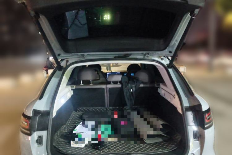 Used Leapmotor C11 2024 All-Electric 580 Luxury Edition