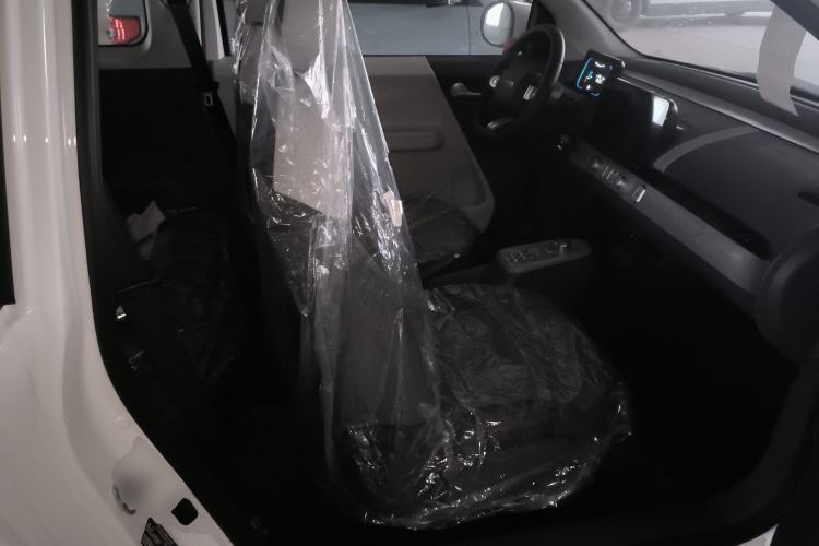 Used Qiyuan Lumin 2024 130km Qingyue Version
