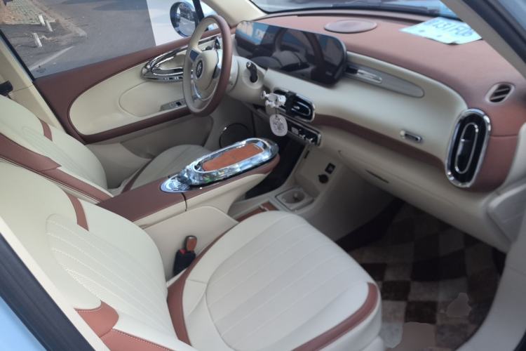 Used ORA Ballet Cat 2023 401 km Luxury Version
