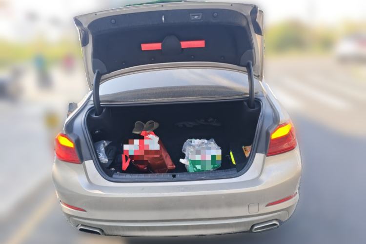 Used BMW 5 Series New Energy 2019 530Le Luxury Package
