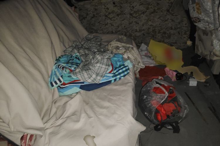 Used FORTHING Lingzhi 
