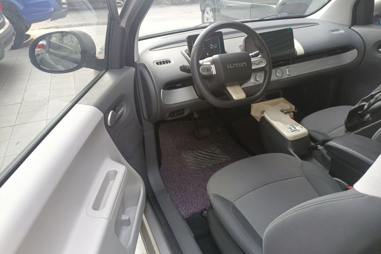 Used Qiyuan Lumin 2023 205km Xiangqin Version
