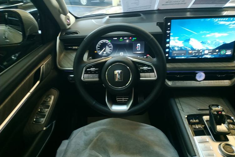 Used Tank 500 2022 3.0T Sport Edition "Creation" Version 5-Seater
