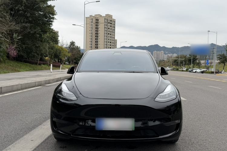 Used Tesla Model Y 2021 Standard Range Rear-Wheel Drive Version
