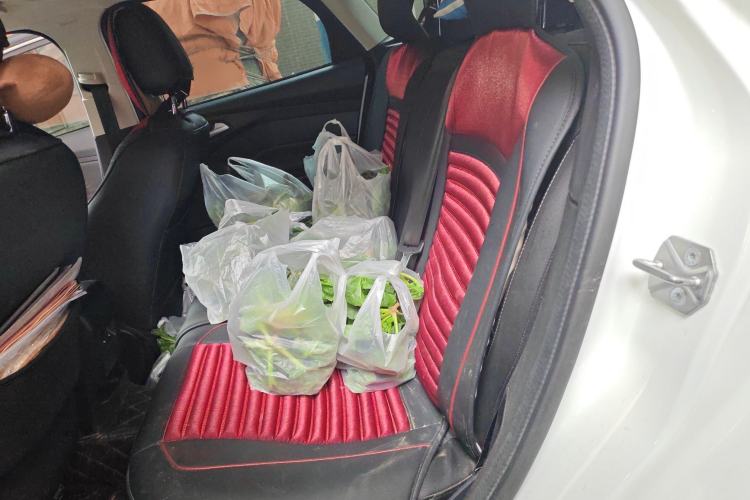 Used Ford Focus 2017 Hatchback 1.6L Automatic Fashion Edition Smart Drive Version
