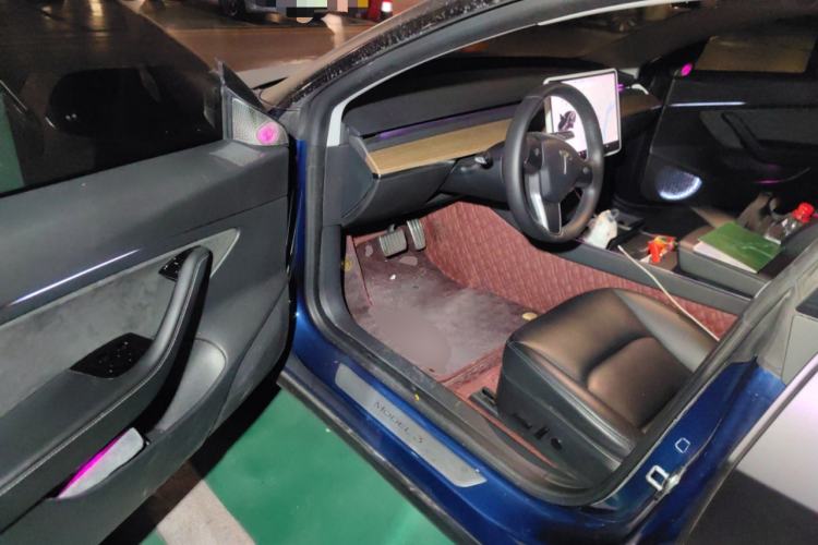 Used Tesla Model 3 2020 Standard Range Rear-Wheel Drive Upgraded Version
