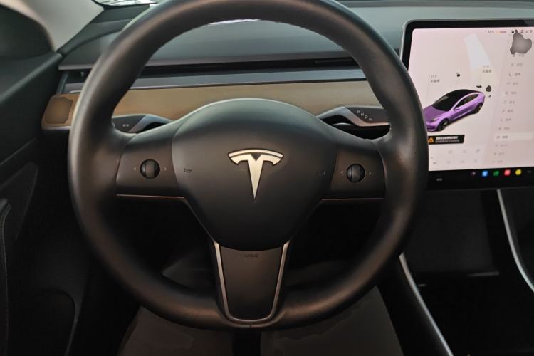 Used Tesla Model 3 2020 Standard Range Rear-Wheel Drive Upgraded Version