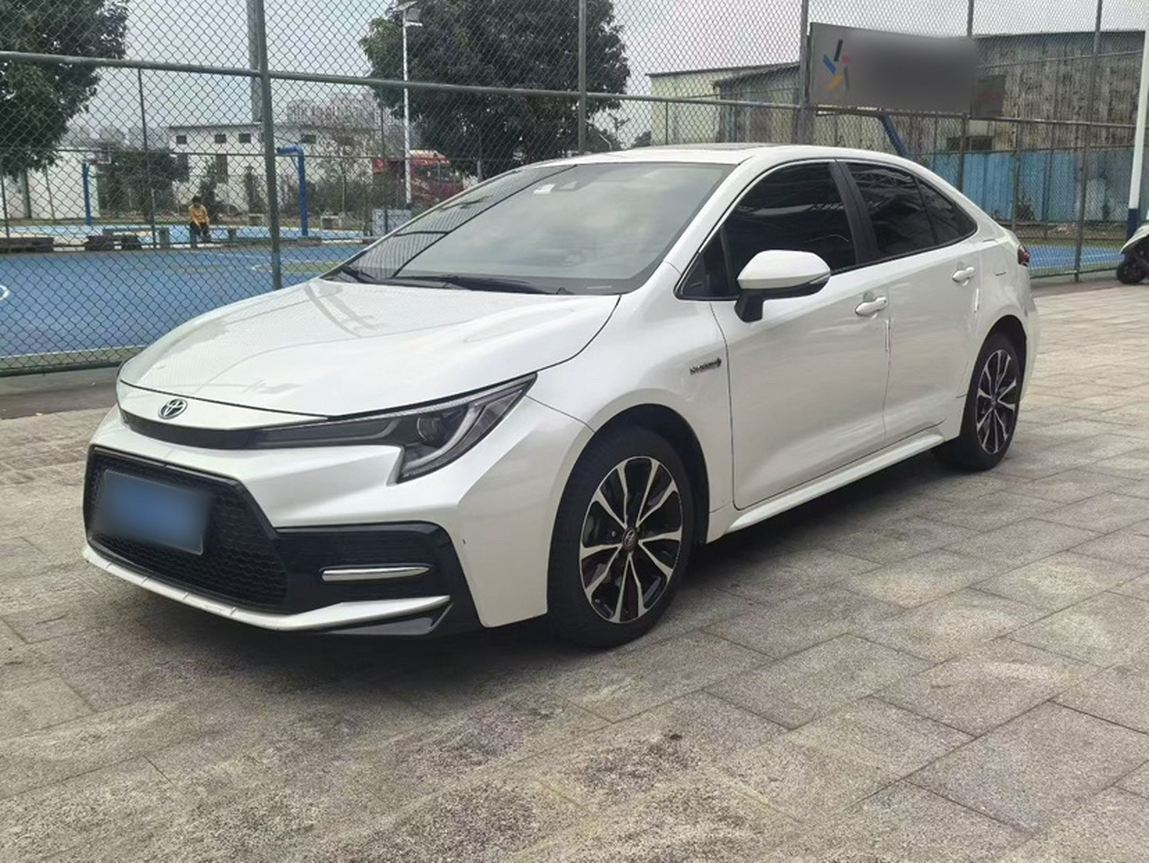 تحت مقدمة السيارة