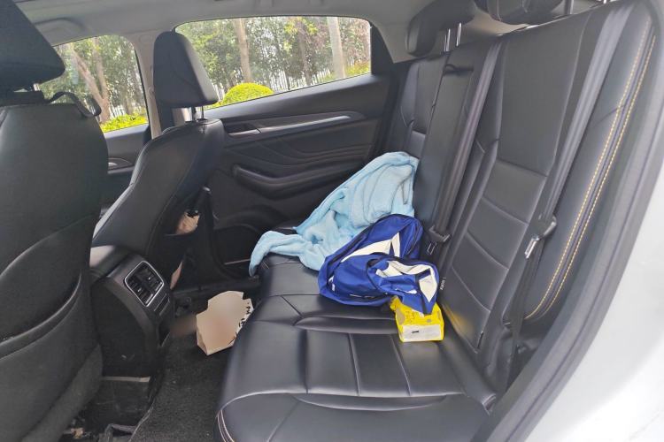 Used Haval F7x 2019 2.0T Two-Wheel Drive Intelligent Technology Edition Left Rear Seat