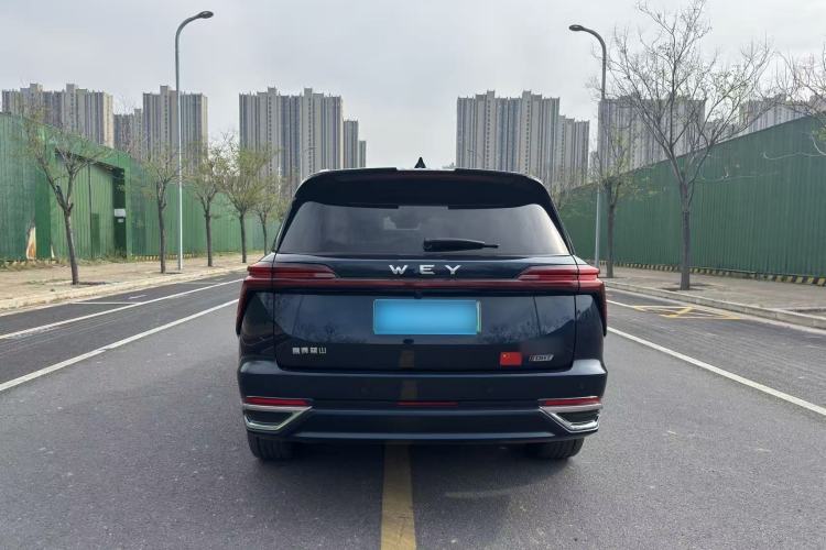 Used Wey Lanshan 2023 Four-Wheel Drive Ultra-Long Range Version
