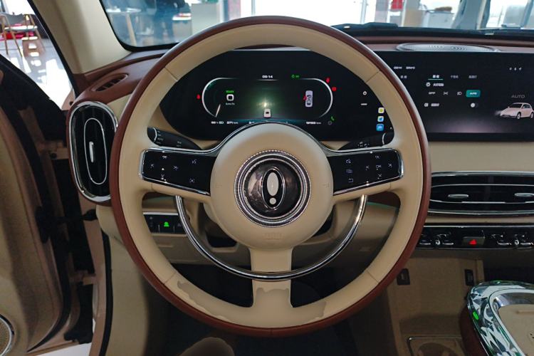 Used ORA Ballet Cat 2023 401 km Luxury Version Steering Wheel