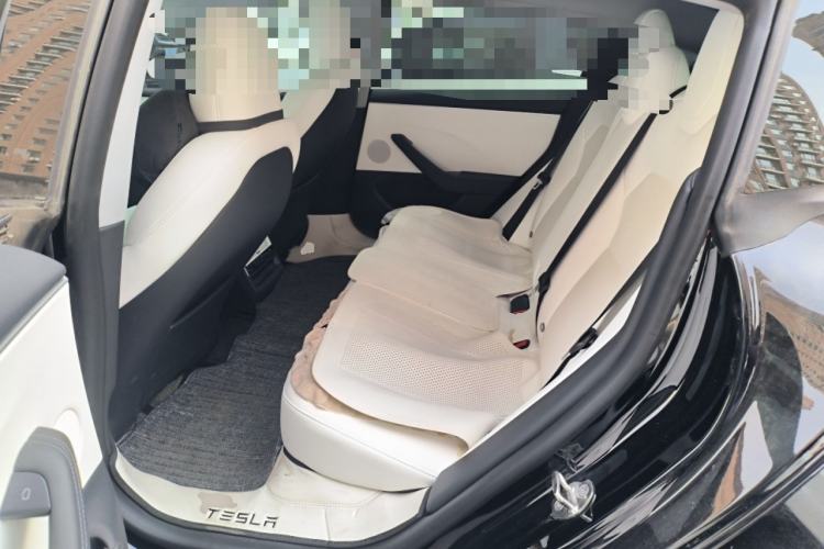 Used Tesla Model 3 2023 Long-Range All-Wheel-Drive Version Left Rear Seat