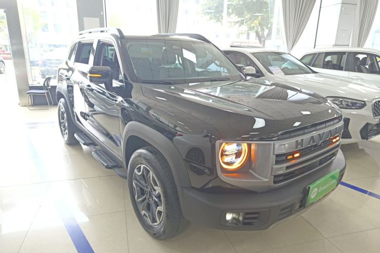 Used Haval DARGO 2024 2.0T DCT Chinese Rural Dog Edition
