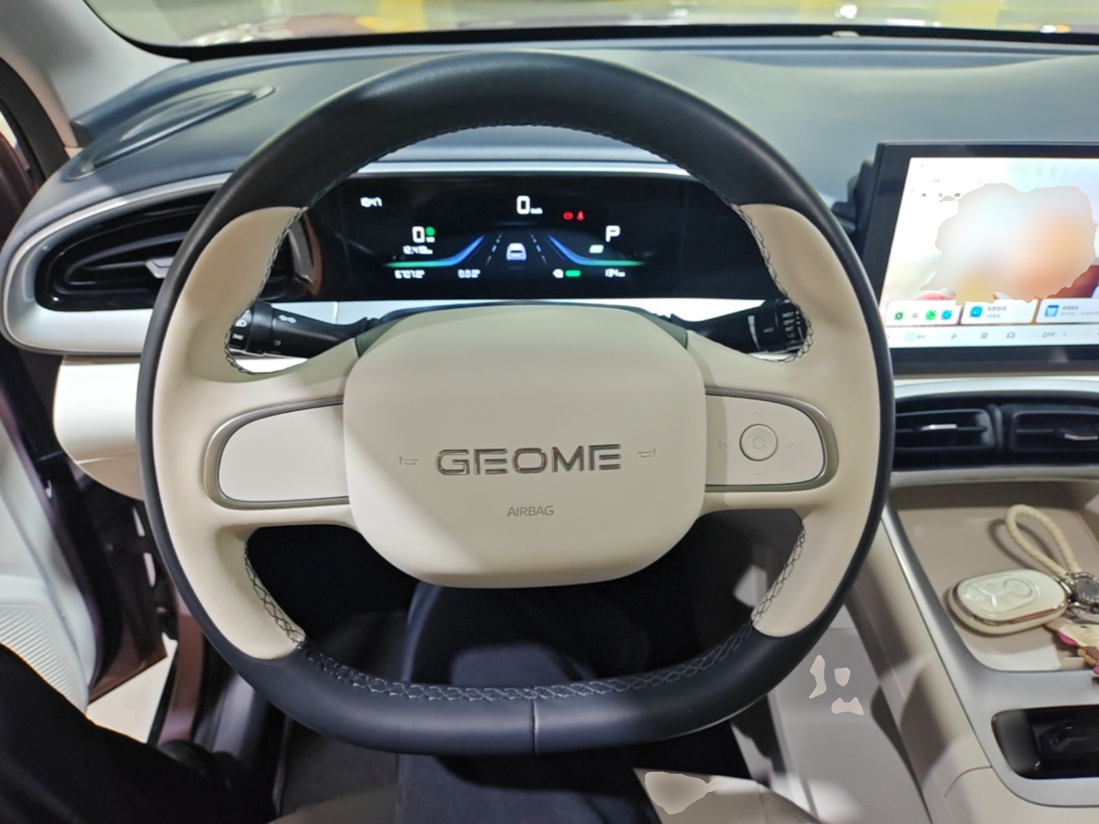 Geely Galaxy Geome 2025 310km Youth Edition — снимка 13
