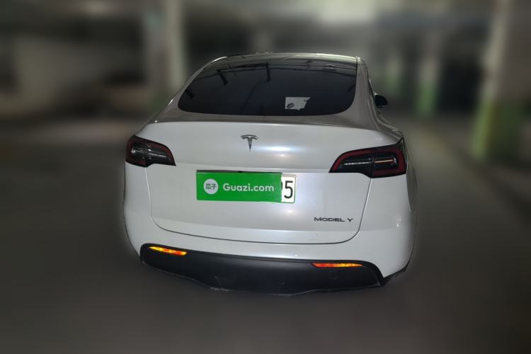 Used Tesla Model Y 2021 Standard Range Rear-Wheel Drive Version Rear