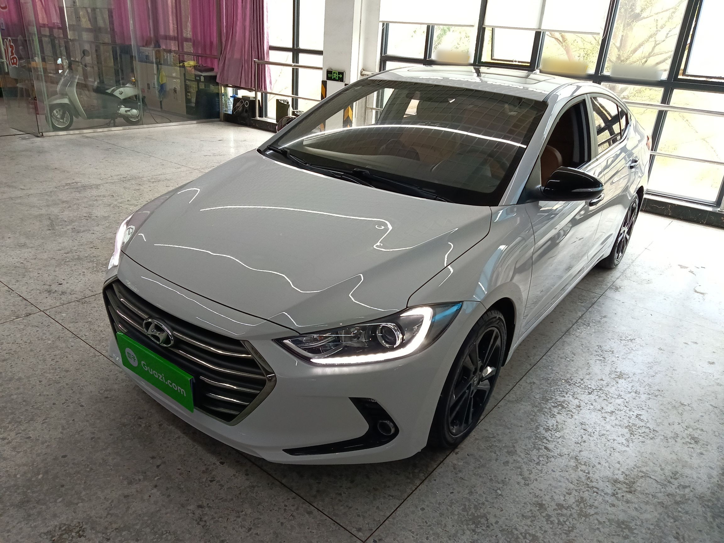 تحت مقدمة السيارة