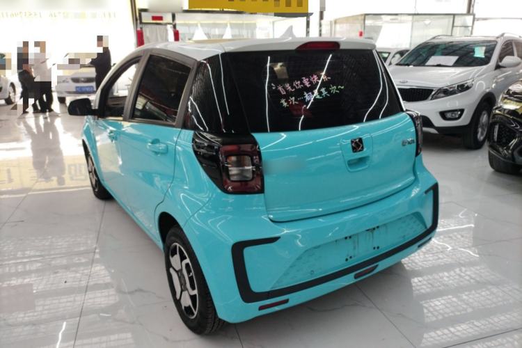 Used SOL E10X 2022 Flower Fairy Style Baby's Breath
