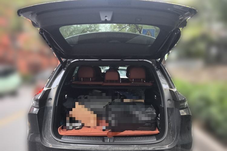 Used Li Auto L6 2024 Pro Model