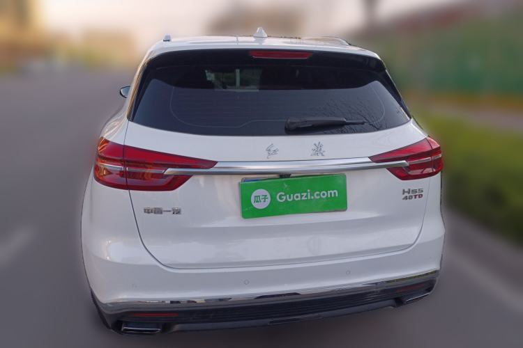 Used Hongqi HS5 2019 2.0T Smart Connect Flagship Edition