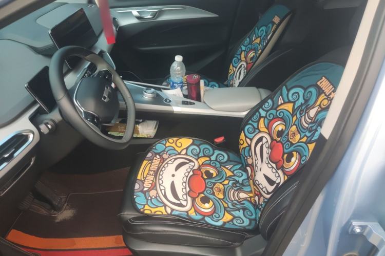 Used Geometry C 2020 Selected Range Edition 550 KM C++ Pro Left Front Seat