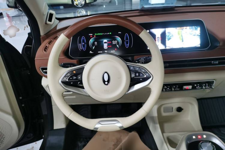 Used ORA Good Cat 2022 Morandi Edition 400km Standard Range Premium Version Lithium Iron Phosphate
