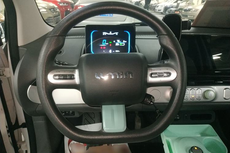 Used Qiyuan Lumin 2023 205km Xiangqin Version
