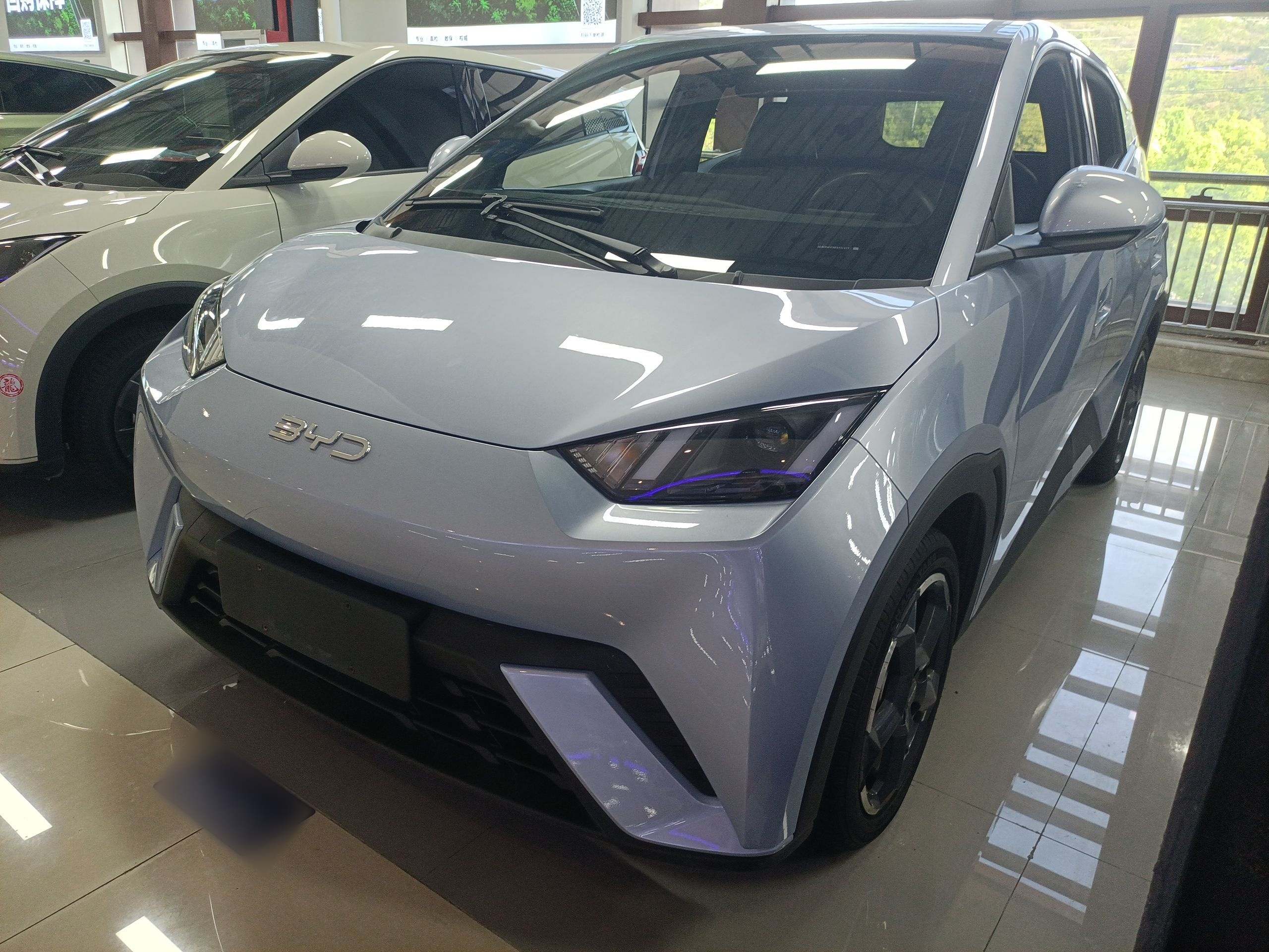 Parte inferior delantera